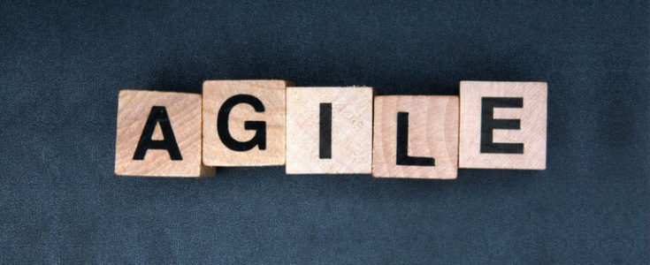 Agile Development – Hot New Buzzword, or the Real Deal?