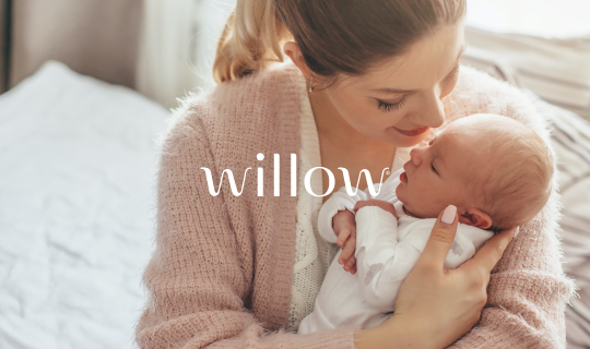 Willow Brings Groundbreaking New Product to Market Faster