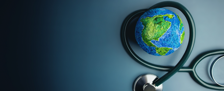 Sustainable IT in Healthcare Organizations for Happier Patients and Planet