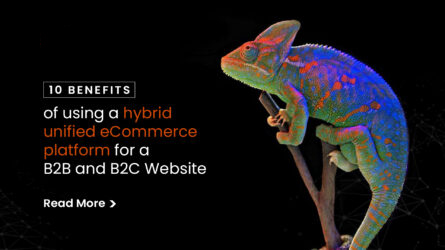10 Benefits of Using a Hybrid Unified eCommerce Platform for a B2B and B2C Website
